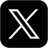 X Icon